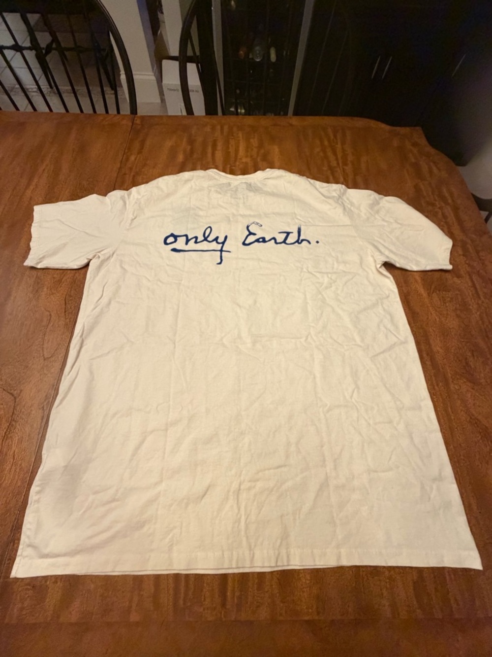 PATAGONIA men’s CTA Organic T-Shirt - ONLY EARTH UNDYED NATURAL - Picture 6 of 12